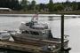 Seawolf 33